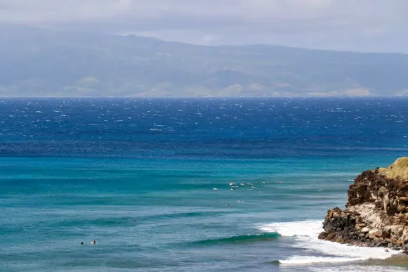 كازومبي كازينو الدعم